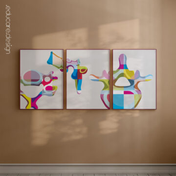 Vertebrae PopArt Anatomy Set from www.educare.design