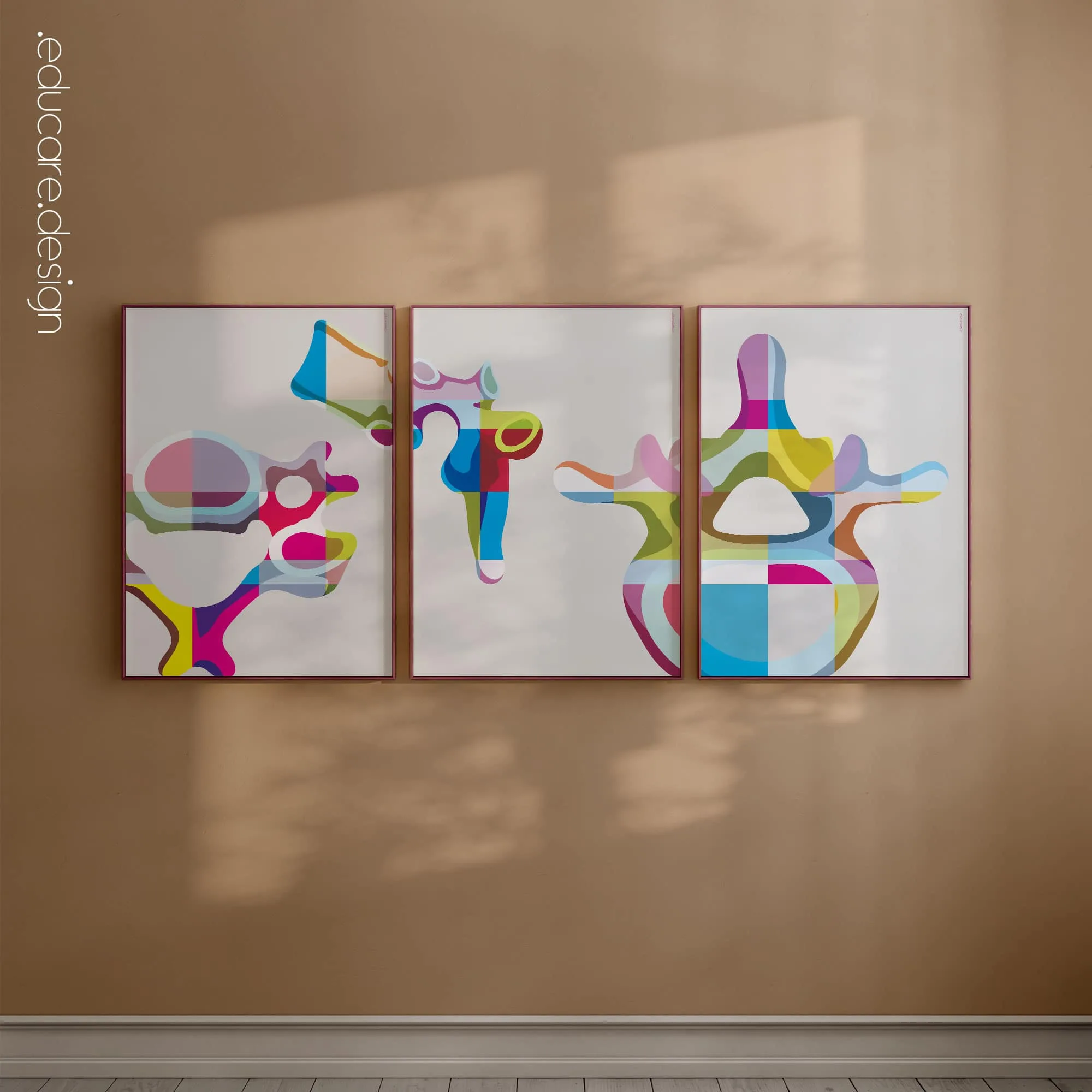 Vertebrae Pop Set anatomy chart for clinics