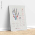 Carpal Tunnel Syndrome with Diagnosis and Exercises