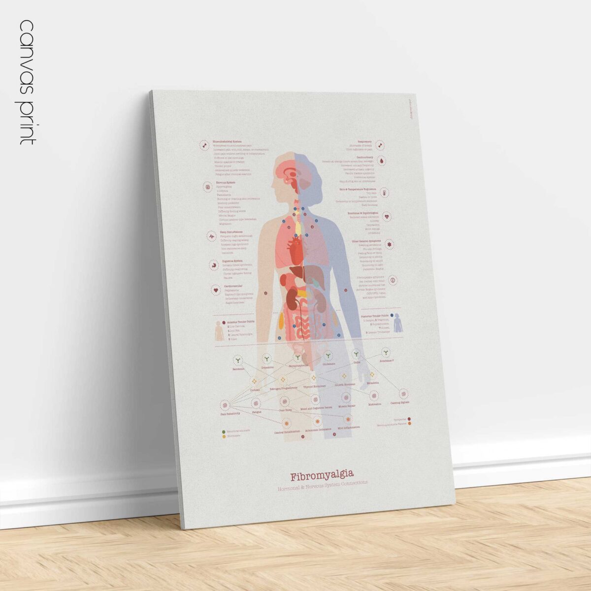 Fibromyalgie avec Connexions Hormonales et Nerveuses