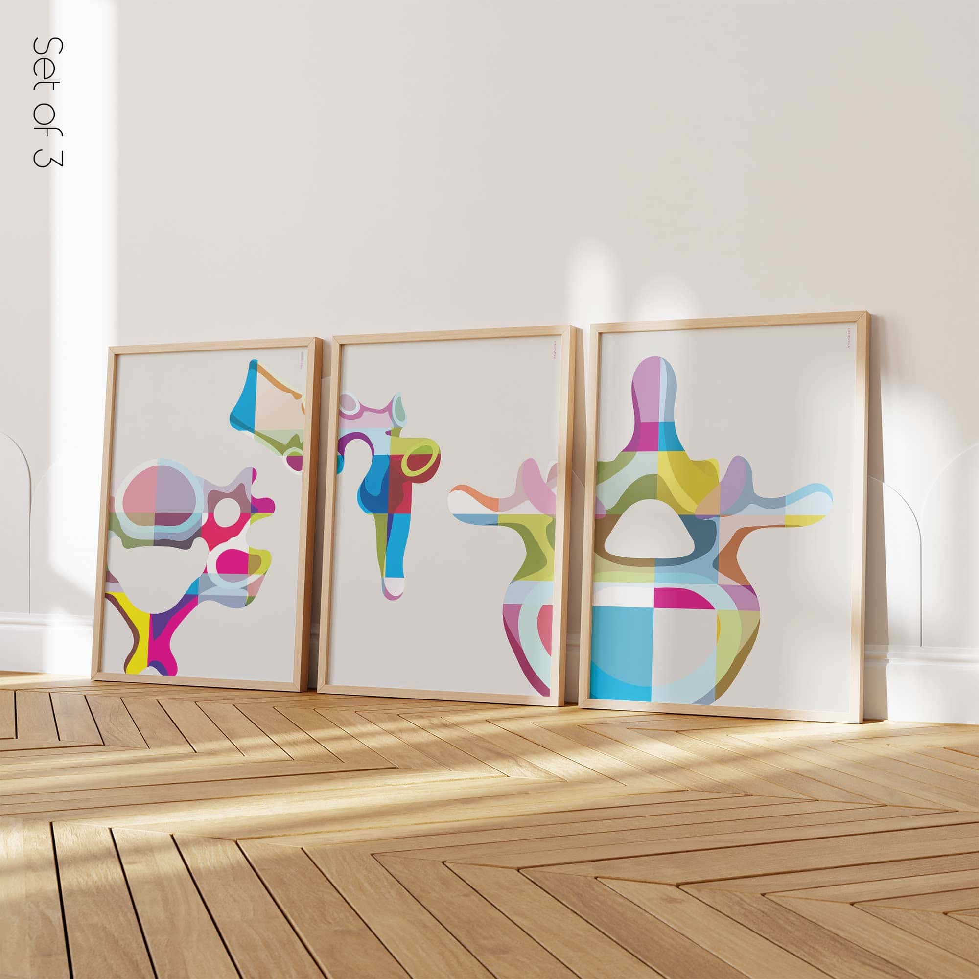 Vertebrae PopArt Anatomy Set from www.educare.design