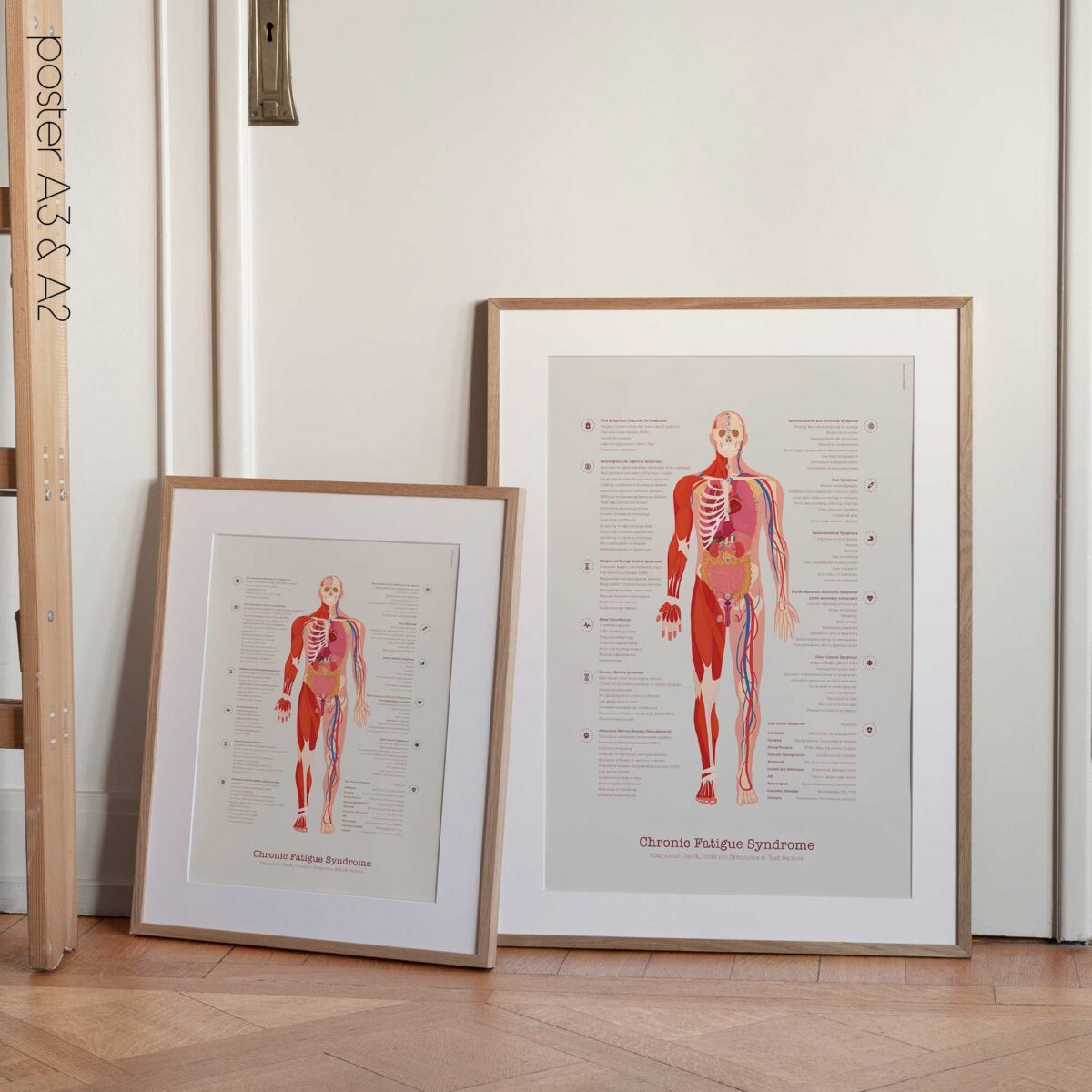 Diagramm zum CES mit Diagnosecheck, häufigen Symptomen und Risikofaktoren.