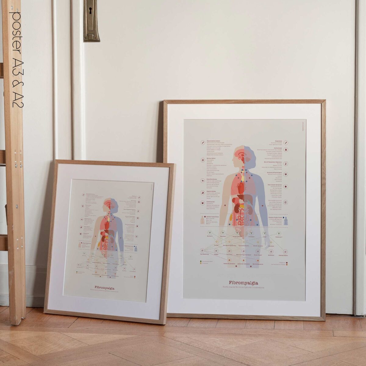 Fibromyalgie avec Connexions Hormonales et Nerveuses