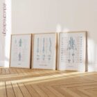 Anatomy of the Spine anatomy chart for clinics Anatomy of the Spine anatomy chart for clinics