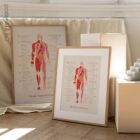 Chronic Fatigue Sindrome chart with Diagnostic Check, Common Symptoms & Risk Factors