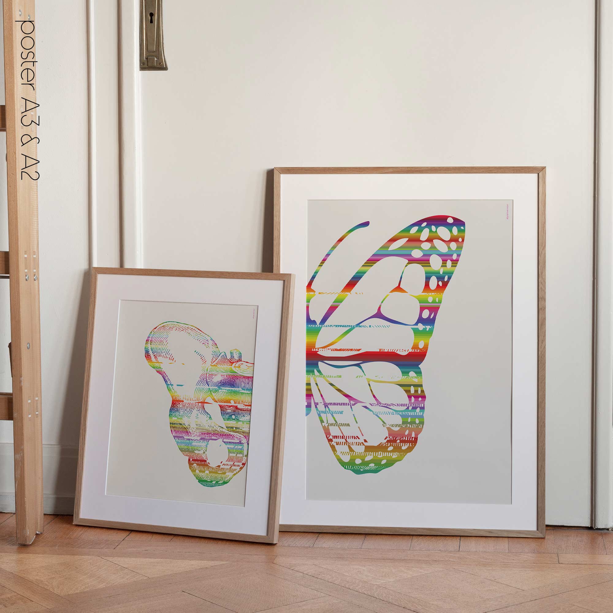 Pelvic Butterfly, Anatomy art from www.educare.design