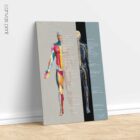 Spinal Nerves Set – educare.design Spinal Nerves Chart