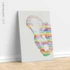 Pelvic Butterfly, Anatomy art from www.educare.design