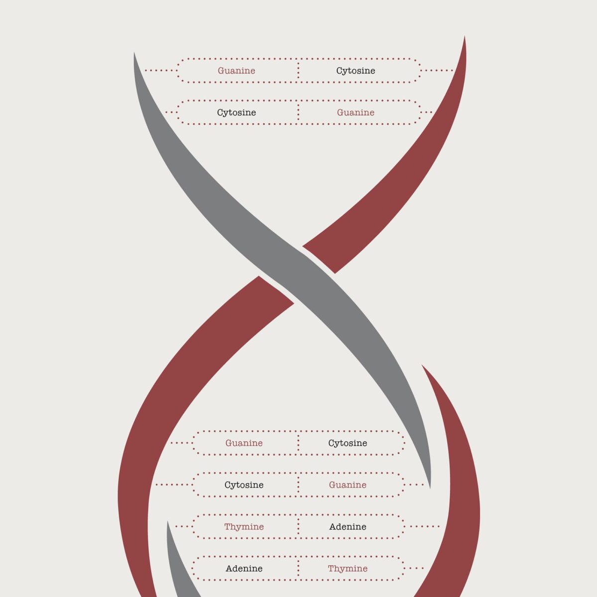 DNA Chemistry & Sex Chromosomes Poster