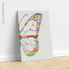 Pelvic Butterfly, Anatomy art from www.educare.design