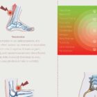 Sports Injuries anatomy chart for clinics Sports Injuries anatomy chart for clinics