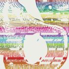 Pelvic Butterfly, Anatomy art from www.educare.design