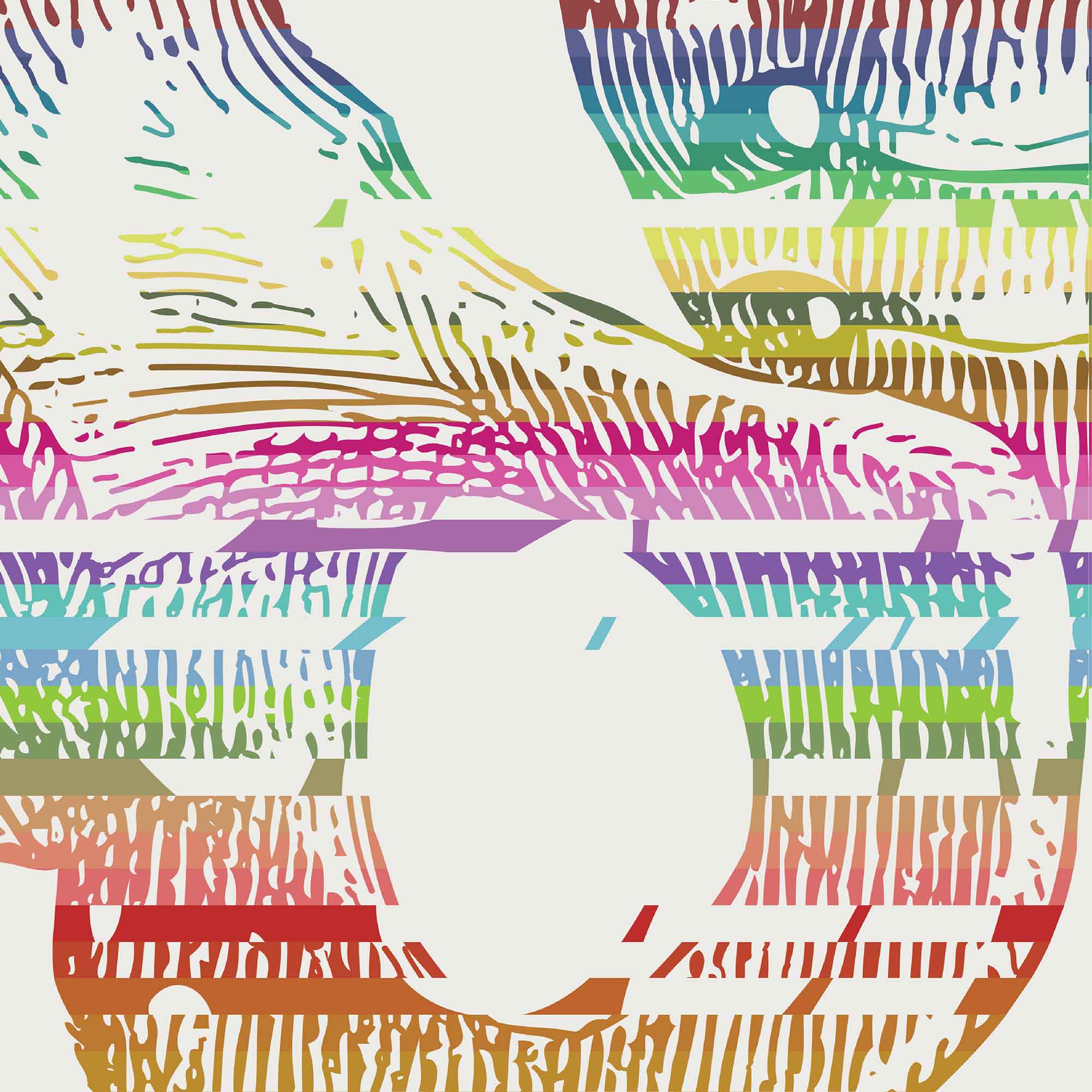 Pelvic Butterfly, Anatomy art from www.educare.design