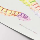 When chiropractors dream... Artwork for chiropractors from www.educare.design