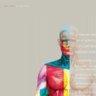 Spinal Nerves Set – educare.design Spinal Nerves Chart