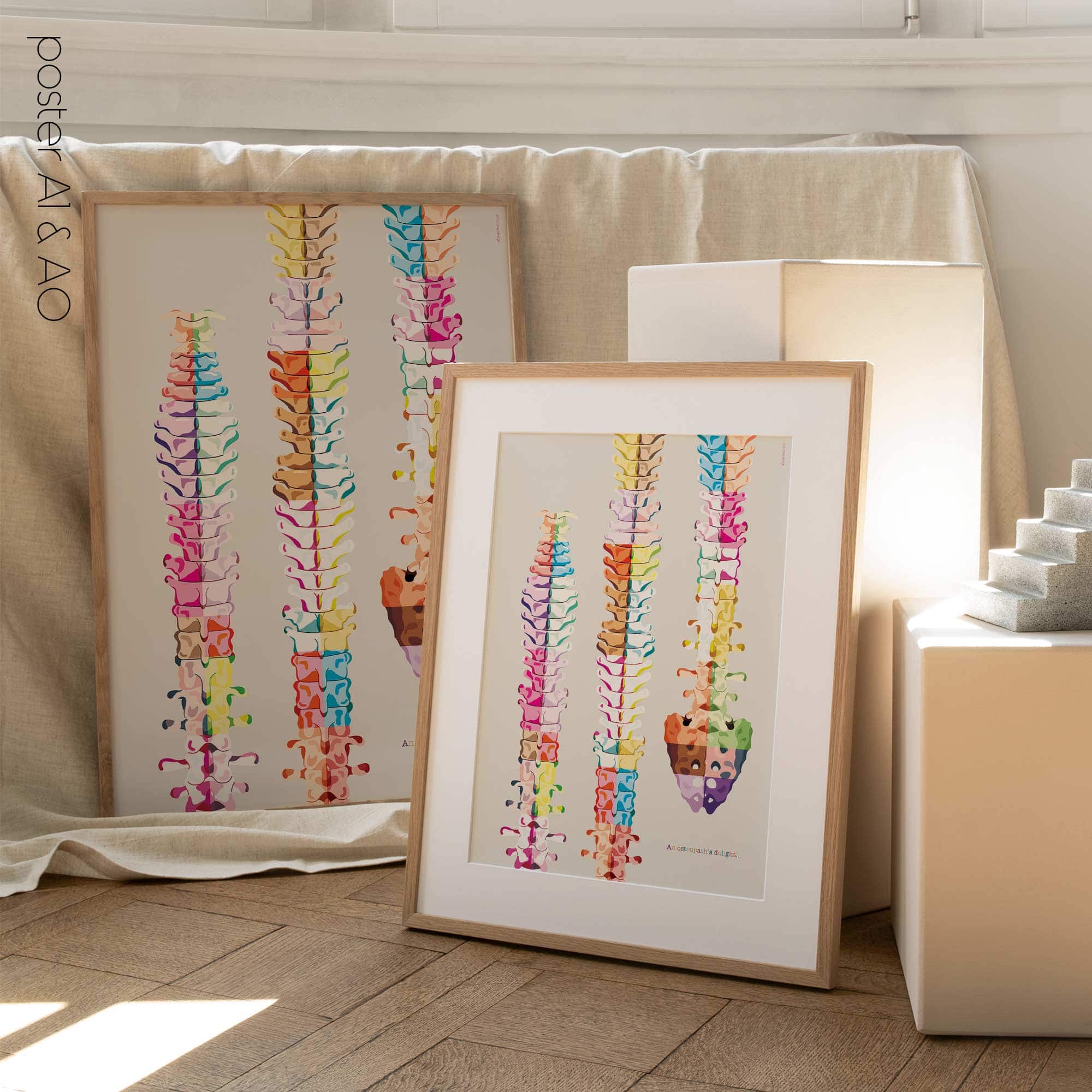 An osteopath's delight... Artwork for chiropractors from www.educare.design