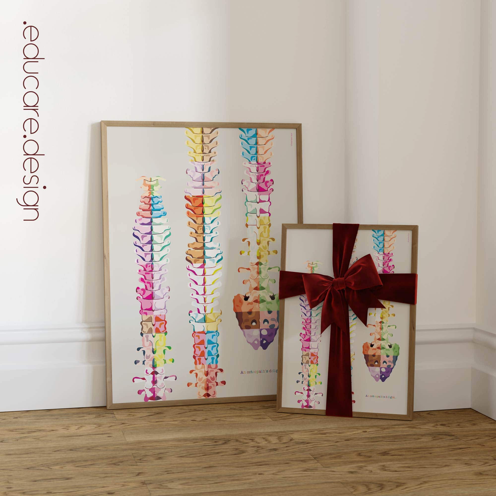 The perfect gift to an osteopath!