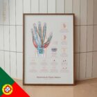 Carpal Tunnel Syndrome with Diagnosis and Exercises