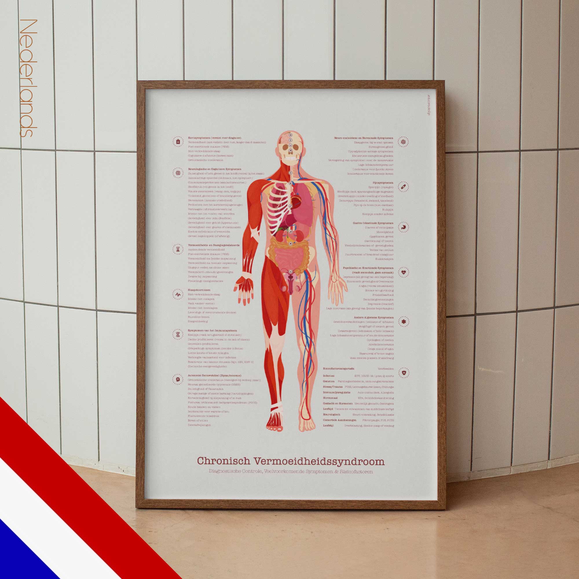 Chronic Fatigue Syndrome dutch