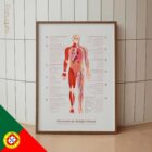 Chronic Fatigue Sindrome chart with Diagnostic Check, Common Symptoms & Risk Factors