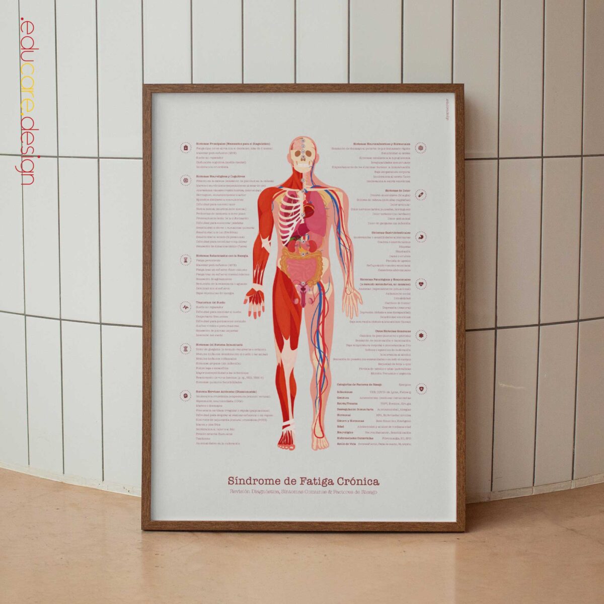 Diagramm zum CES mit Diagnosecheck, häufigen Symptomen und Risikofaktoren.