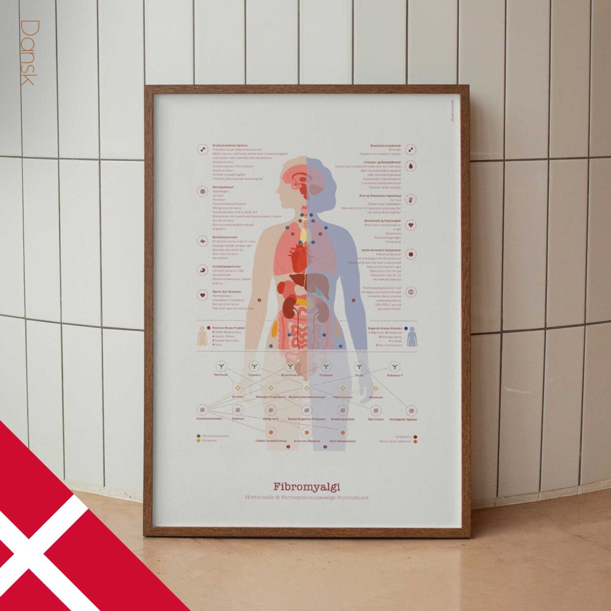 Fibromyalgie avec Connexions Hormonales et Nerveuses