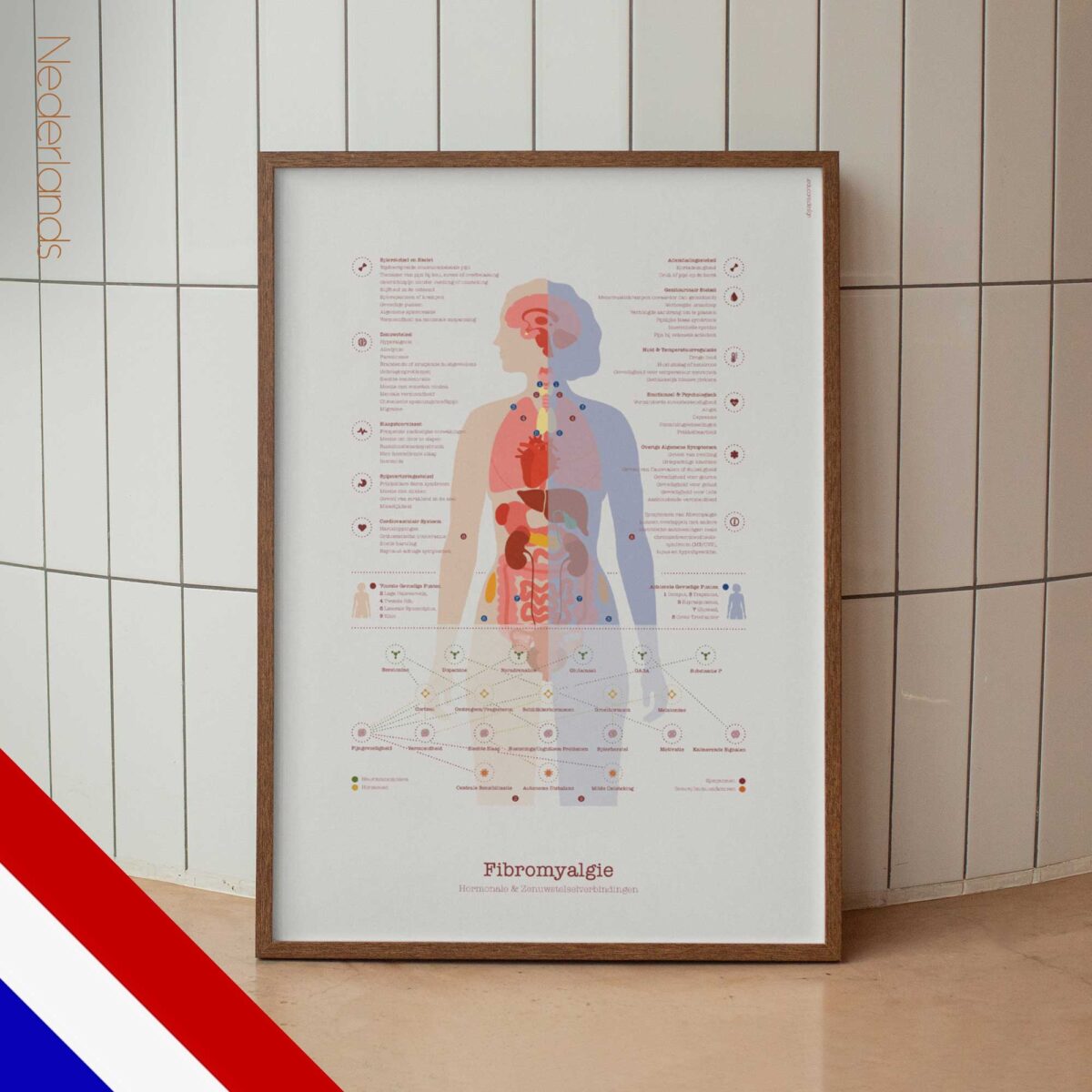 Fibromyalgie avec Connexions Hormonales et Nerveuses