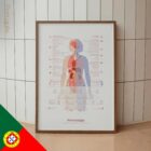 Fibromialgia com Ligações Hormonais e do Sistema Nervoso diagrama anatómico para clínicas e consultórios Fibromialgia com Ligações Hormonais e do Sistema Nervoso diagrama anatómico para clínicas e consultórios