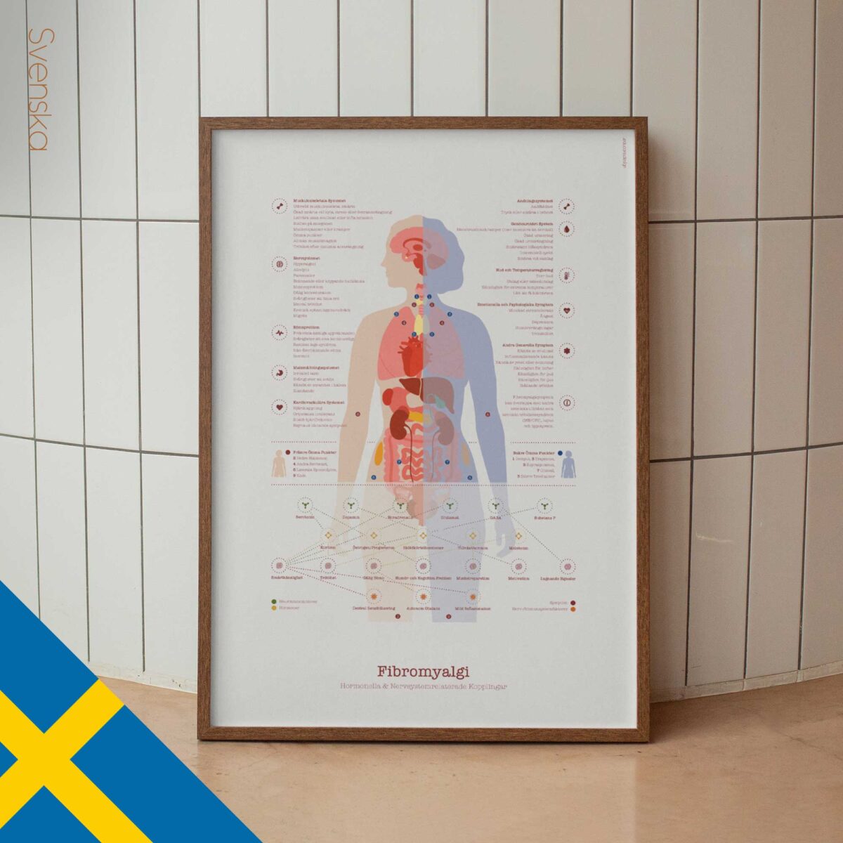 Fibromyalgie avec Connexions Hormonales et Nerveuses