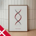 DNA-kemi og Kønskromosomer anatomidiagram til klinikker DNA-kemi og Kønskromosomer anatomidiagram til klinikker