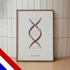 DNA-chemie en Geslachtschromosomen anatomisch diagram voor praktijken en klinieken DNA-chemie en Geslachtschromosomen anatomisch diagram voor praktijken en klinieken