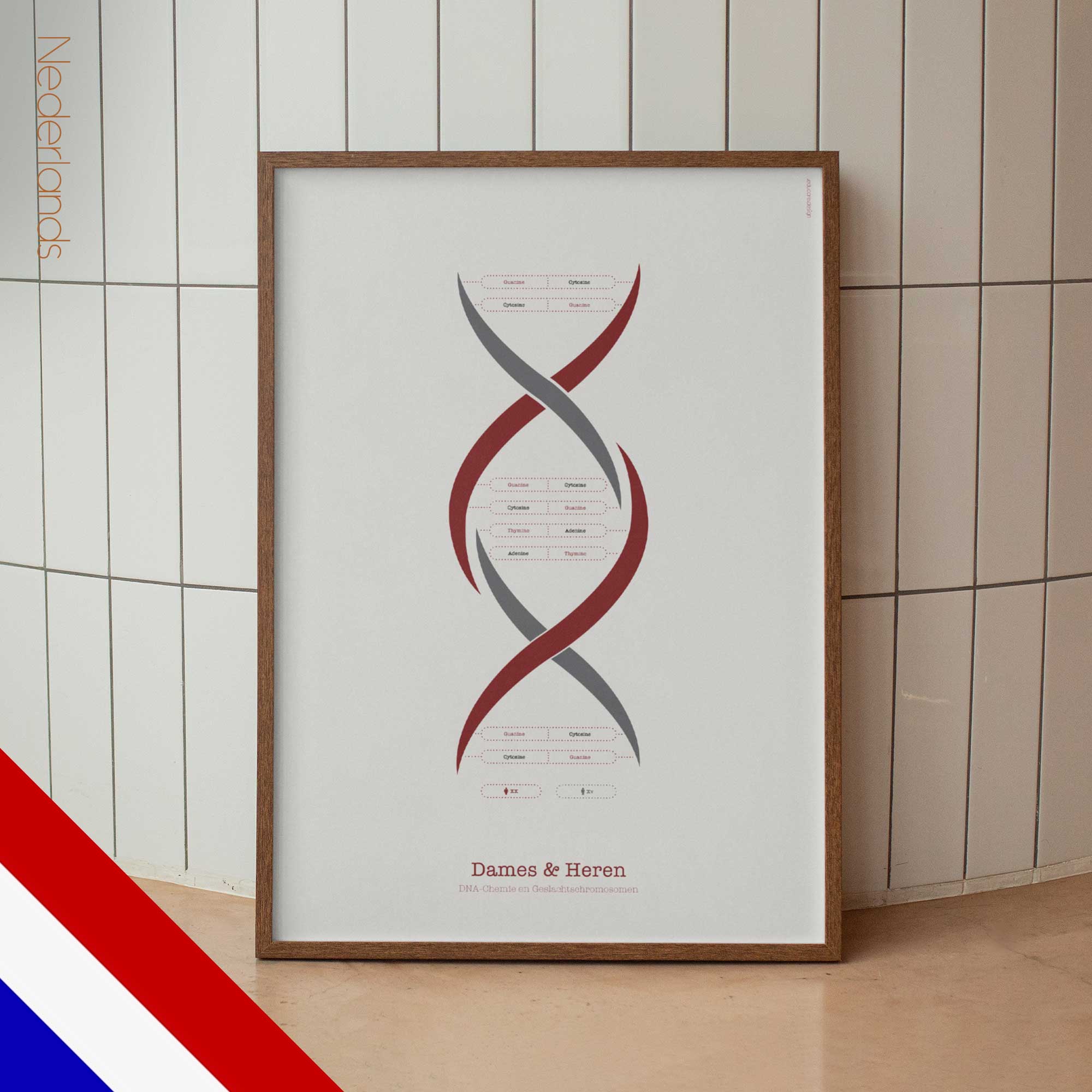 Ladies and Gentlemen dutch