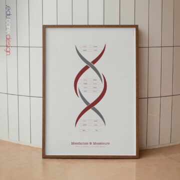Chimie de l’ADN & Chromosomes Sexuels