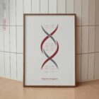 Chimica del DNA e Cromosomi Sessuali tavola anatomica per studi e cliniche Chimica del DNA e Cromosomi Sessuali tavola anatomica per studi e cliniche