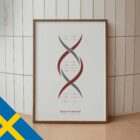 DNA-kemi och Könskromosomer anatomidiagram för kliniker DNA-kemi och Könskromosomer anatomidiagram för kliniker
