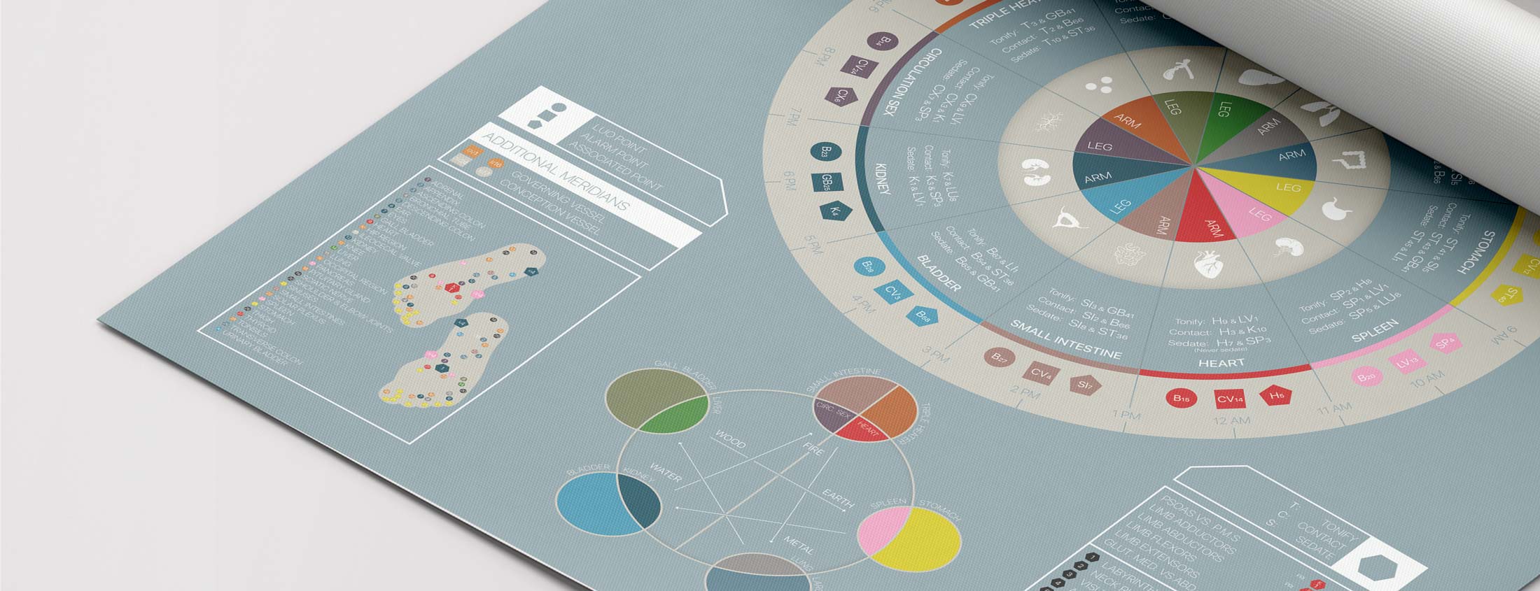 Applied Kinesiology Charts from www.educare.design