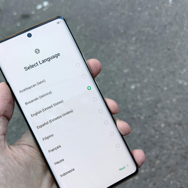 The Role of Multilingual Resources in Global Healthcare