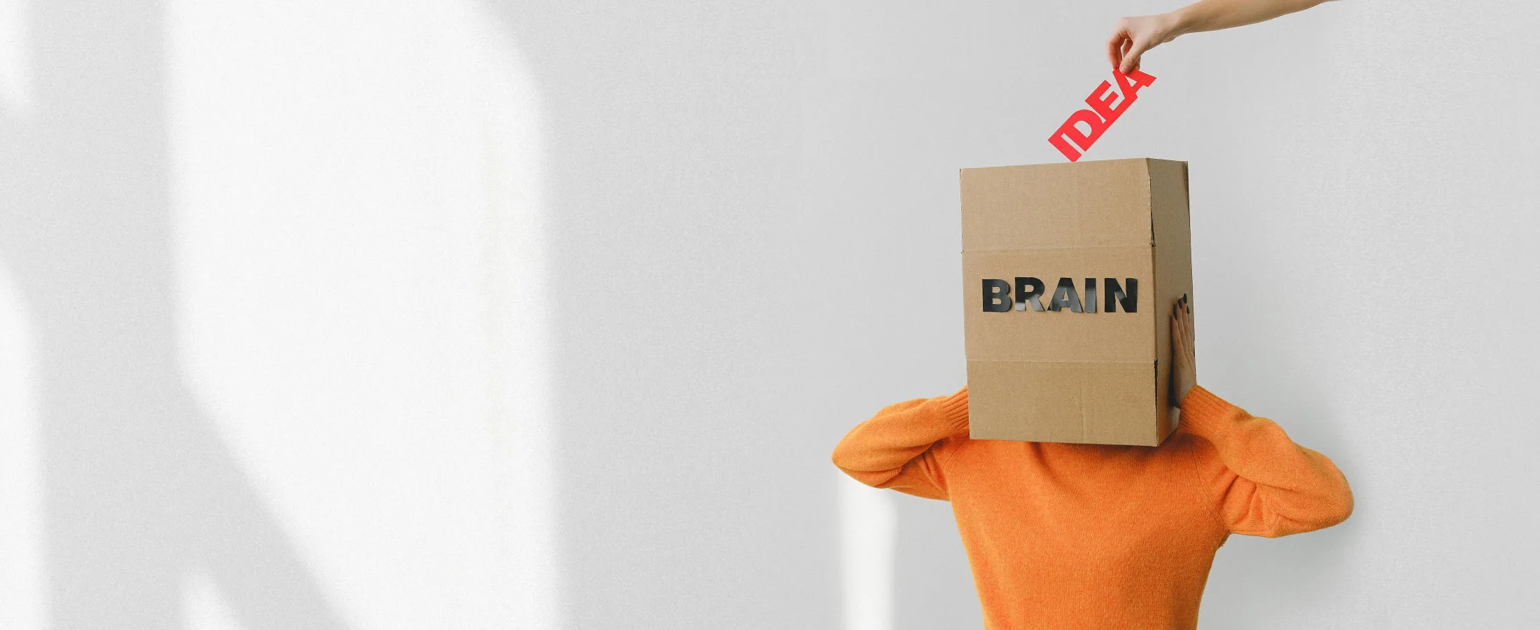 Visual Patient Education – Build Clarity and Drive Clinic Growth