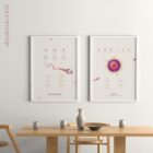 Gametogenesis Anatomy Set – Spermatogenesis & Oogenesis Charts