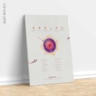 Gametogenesis Anatomy Set – Spermatogenesis & Oogenesis Charts