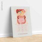 The 9 Abdominal Quadrants anatomy chart for clinics