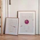 Gametogenesis Anatomy Set – Spermatogenesis & Oogenesis Charts