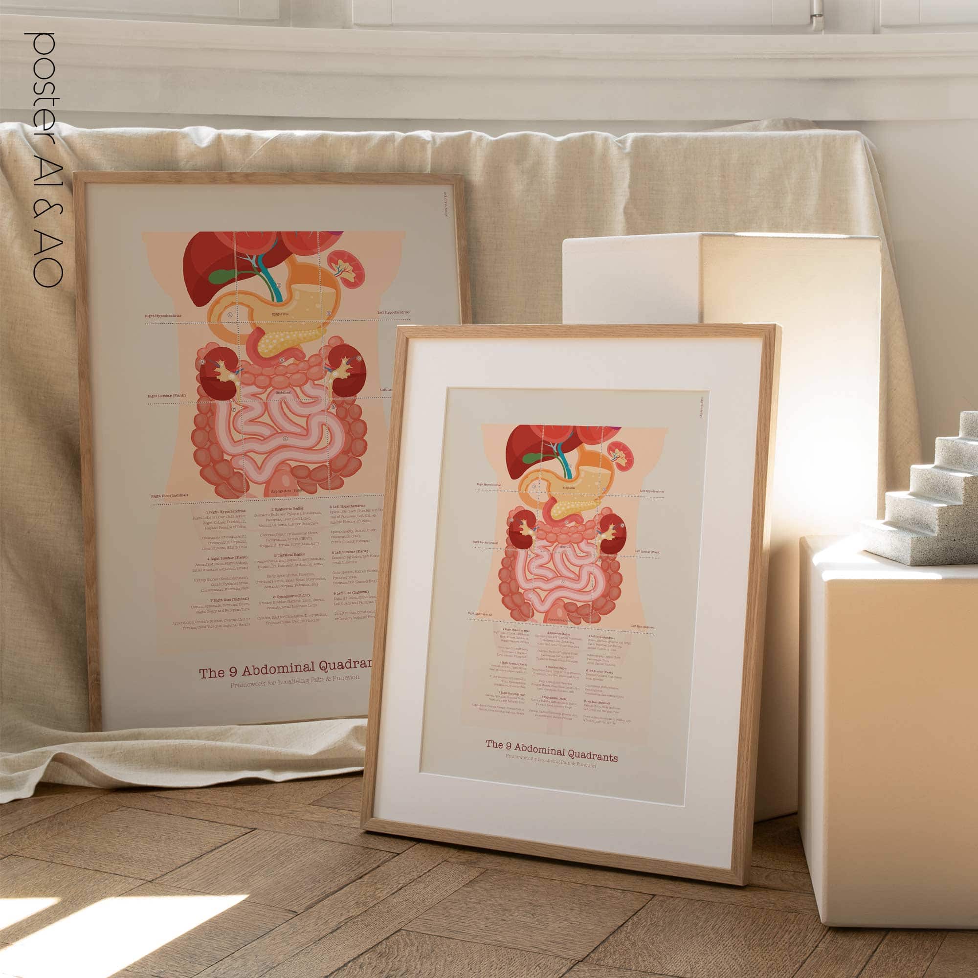 The 9 Abdominal Quadrants Anatomy Chart