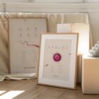 Gametogenesis Anatomy Set – Spermatogenesis & Oogenesis Charts