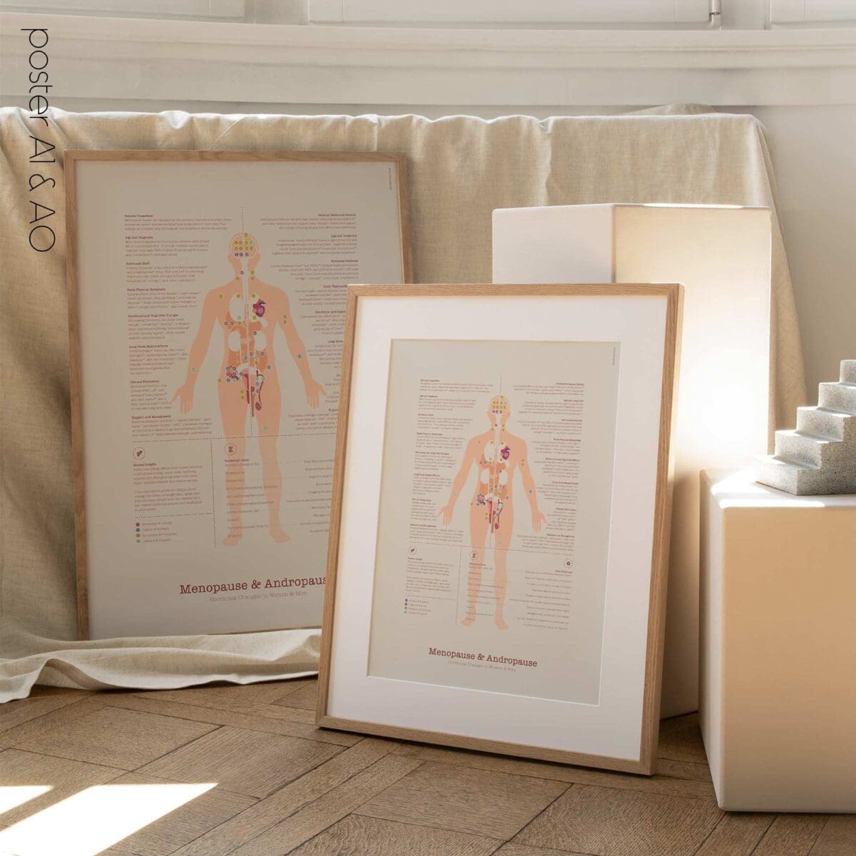 Menopause & Andropause – Hormonal Changes in Women & Men Anatomy Chart