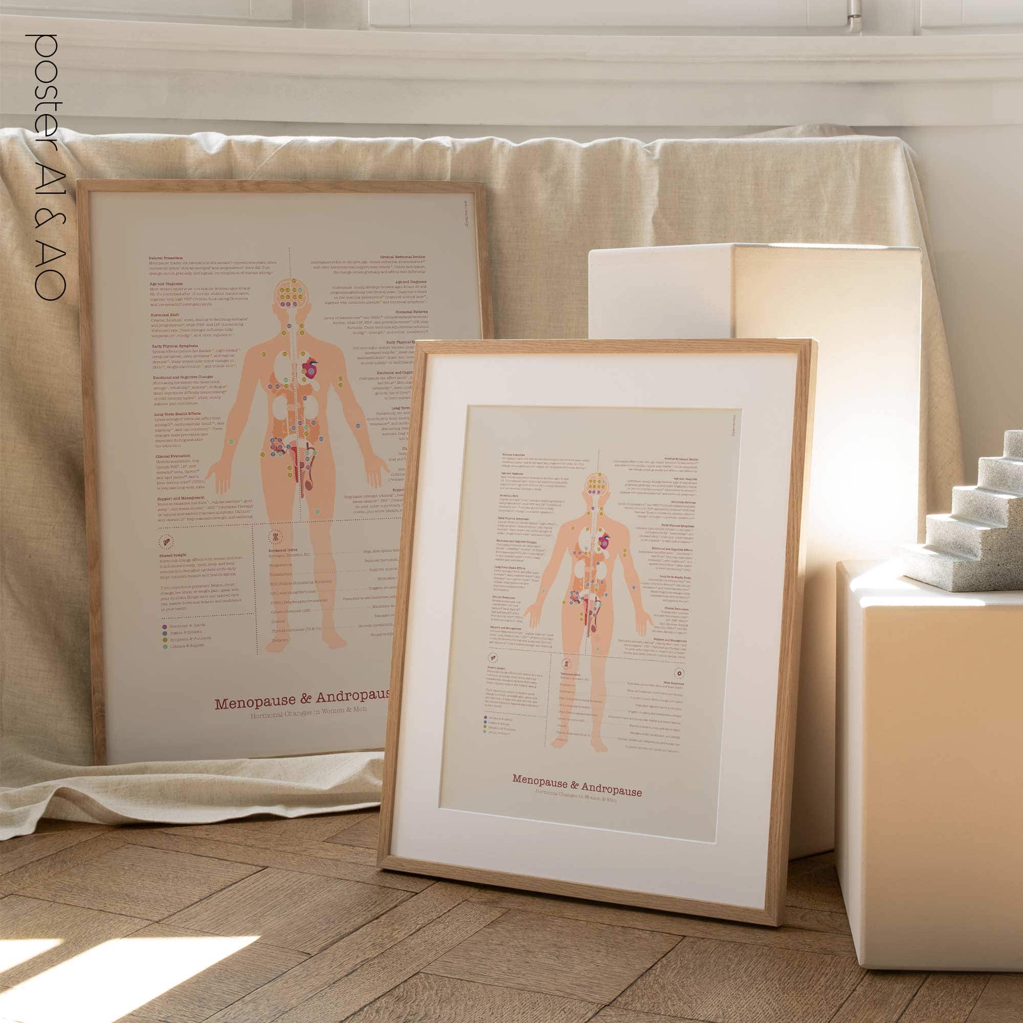 Menopause & Andropause – Hormonal Changes in Women & Men Anatomy Chart