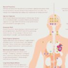 Menopause & Andropause – Hormonal Changes in Women & Men Anatomy Chart