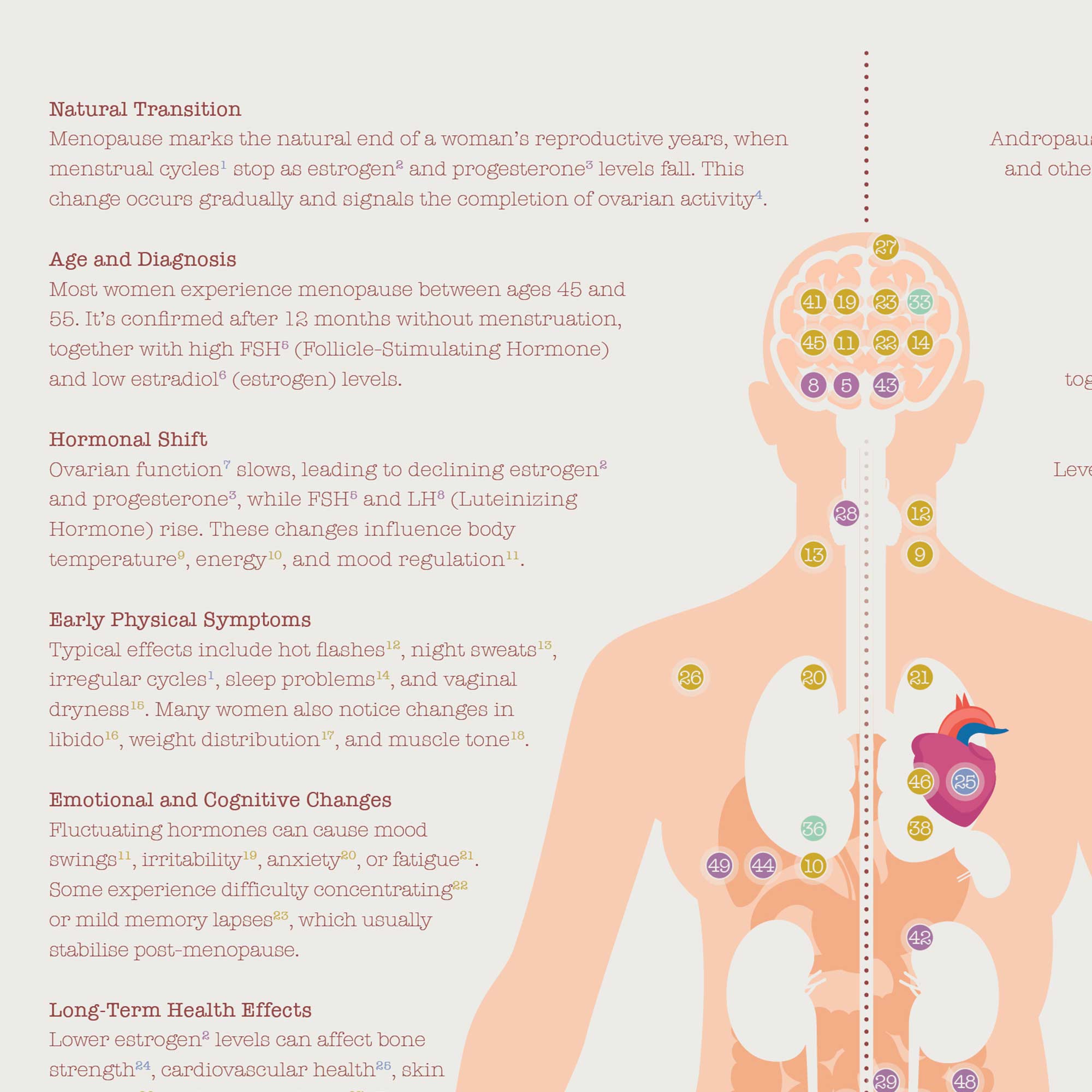Menopause & Andropause – Hormonal Changes in Women & Men Anatomy Chart