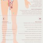 Menopause & Andropause – Hormonal Changes in Women & Men Anatomy Chart
