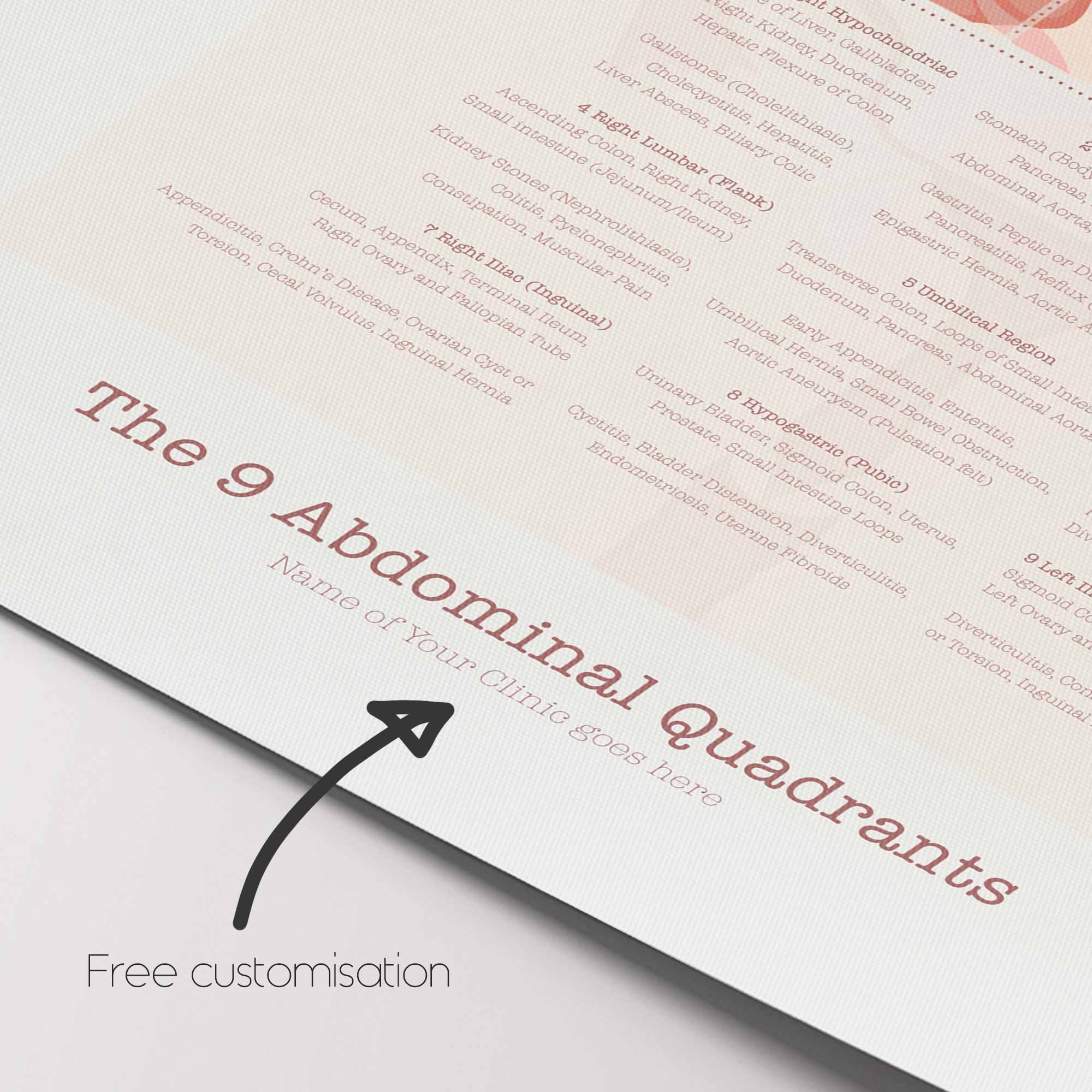 The 9 Abdominal Quadrants – educare.design The 9 Abdominal Quadrants Anatomy Chart